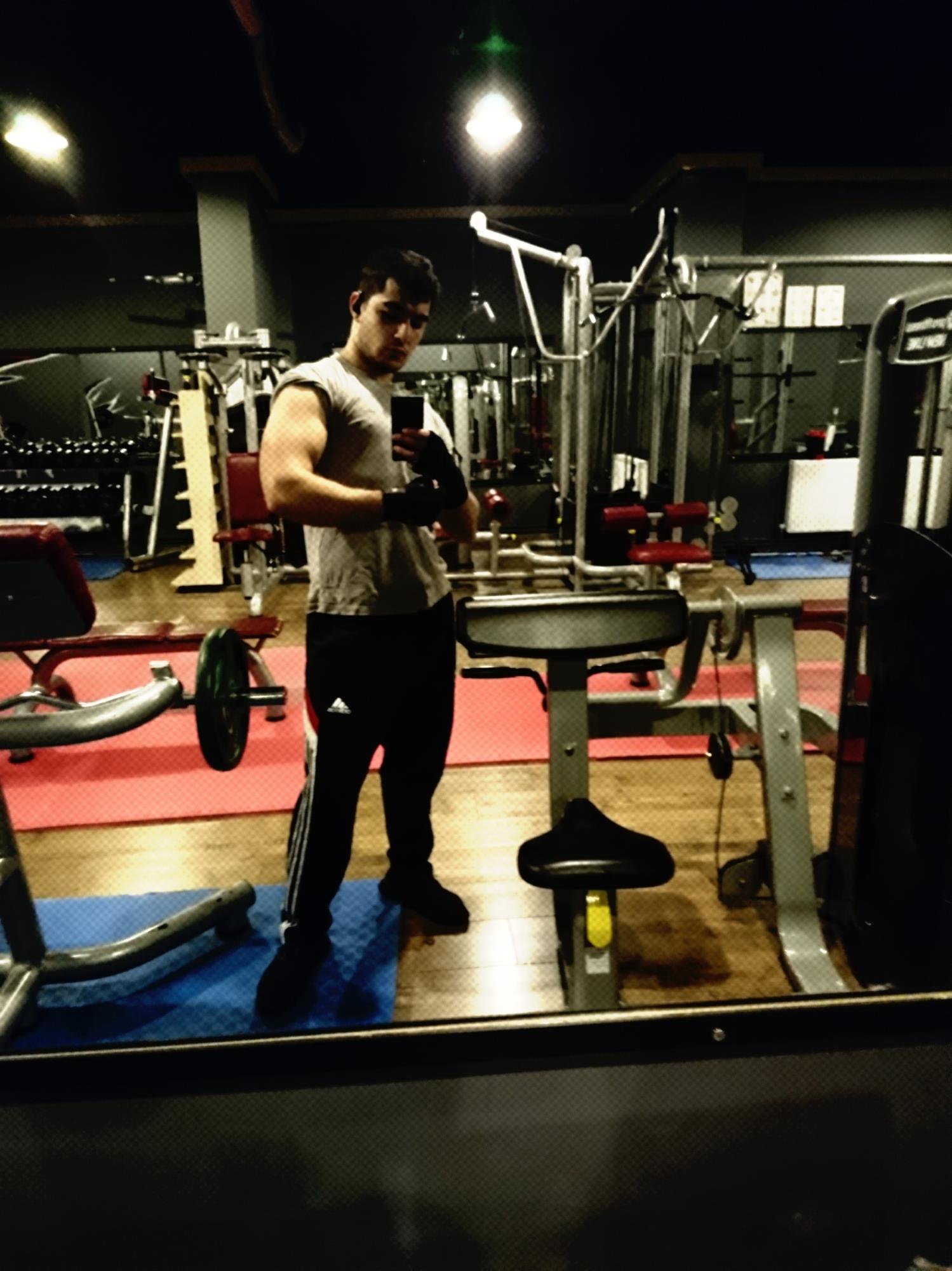 erdal bsbs